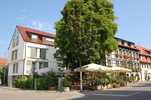 www.ochsen-online.de
