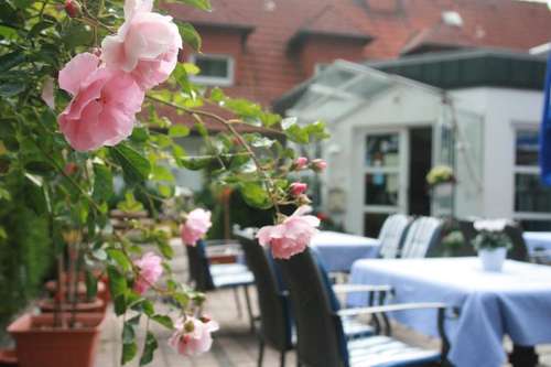 www.hotel-fasanerie.de