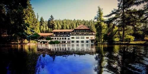 www.hotel-langenwaldsee.de