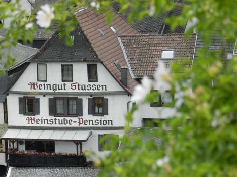 www.weingut-stassen.de