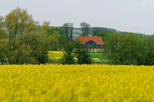 www.heidekrug.eu