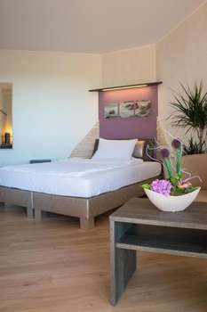 www.hasenhein.de