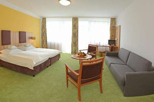 www.stadtpasing.de