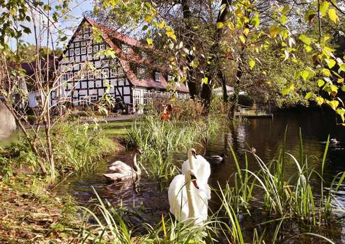 www.springbachmuehle.de