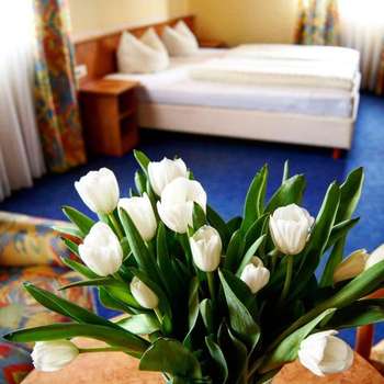 www.hotel-cafe-rathaus.de