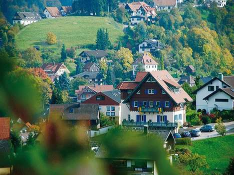 www.bergfriedel.de