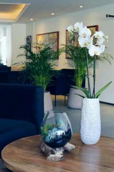 www.aeroehotel.dk