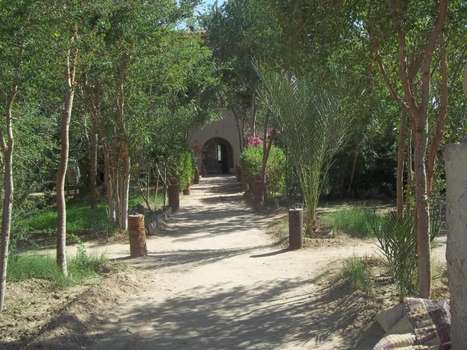 www.luxor-hotels-eg.com