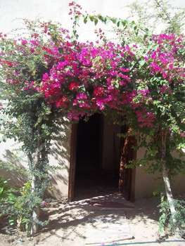 www.luxor-hotels.net