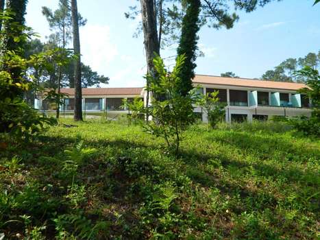 www.hotelalendomar.com