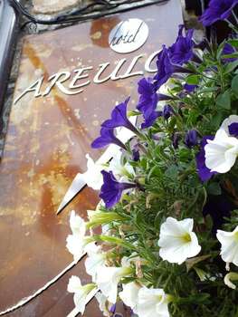 www.areulo.com