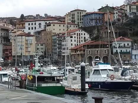 www.hotelarbe.com