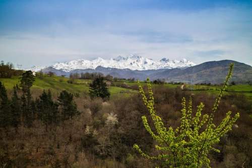 www.montanasdecovadonga.es