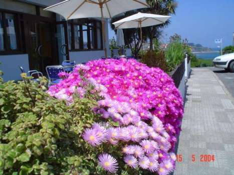 www.loslaureles-hotel.com