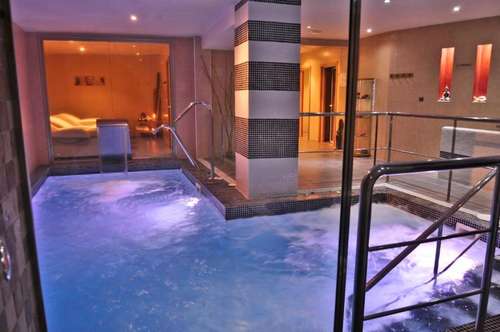 www.hotelspaplazaarriate.com