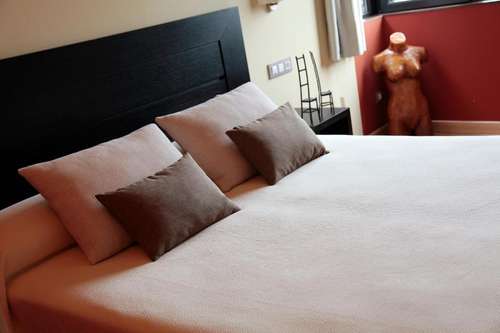 www.hotelaraz.com