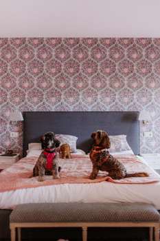 www.hotelboutiquepinar.es