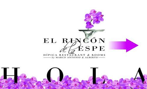 www.eventostamashi.es