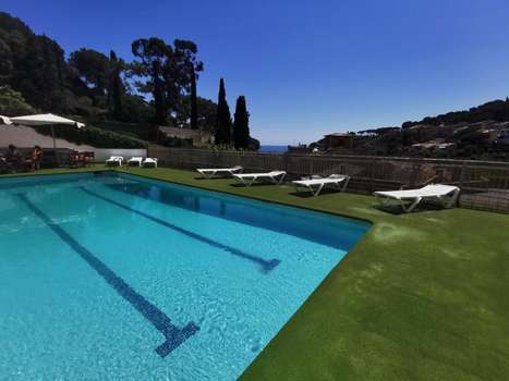 www.dyhotels.com