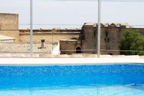www.hotelmolinodelalbaicin.com