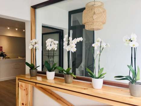 www.elhotelito27.com