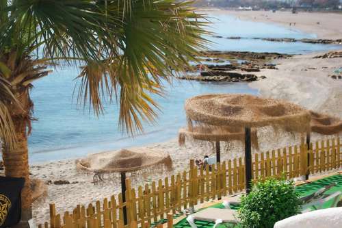 www.hotelpatricia.com
