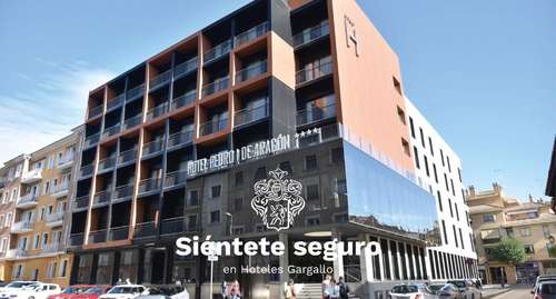 www.hotelpedroidearagon.com