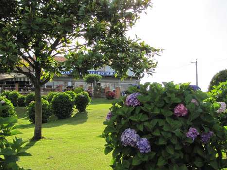 www.hotelmigal.com