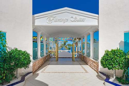 www.flamingosuite.com