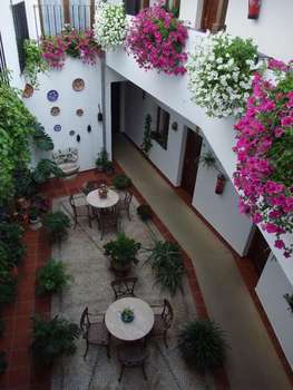 www.hotelsanmiguelcordoba.com