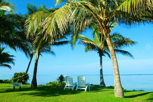 www.bedarrafiji.com