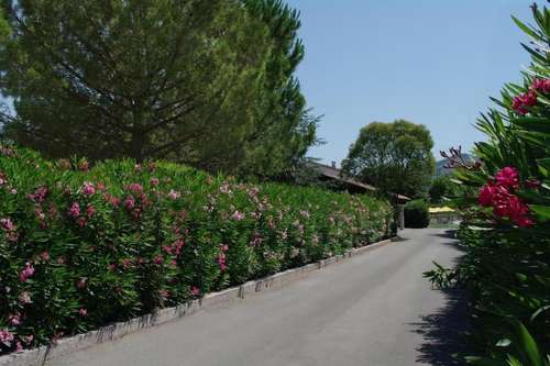 www.hoteldubosquet.com