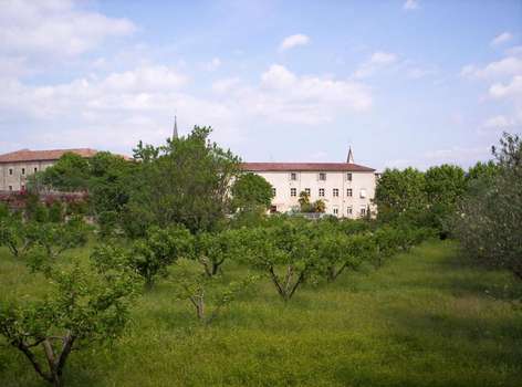 www.hotel-des-oliviers.com