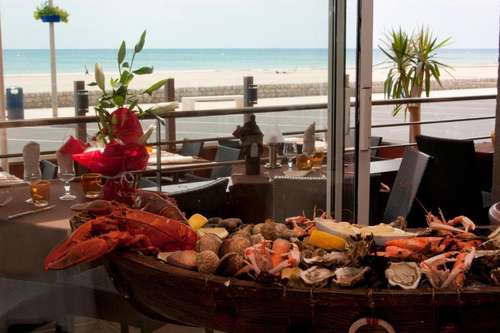 www.hotelmediterranee.com