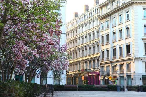 www.hotelcelestins.com