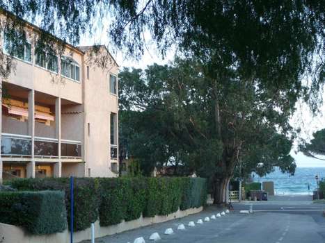www.hotel-eucalyptus.com