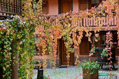 www.hotelange.fr