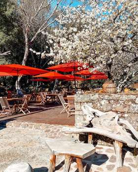 www.auberge-foret-bonifatu.fr