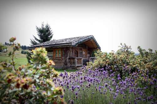 www.manoirdesmontagnes.com