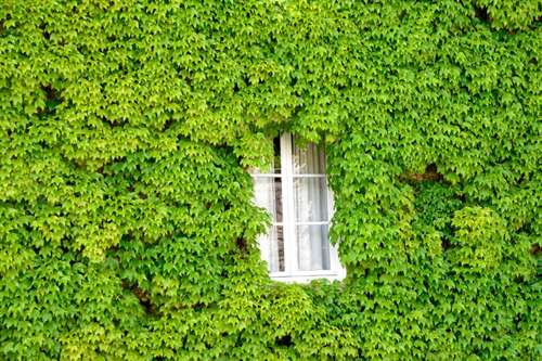www.hoteldefrance-ornans.com