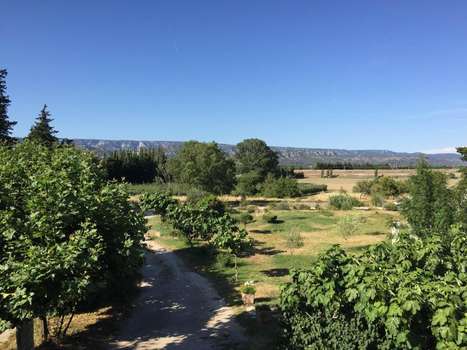 www.auberge-les-olivades.com