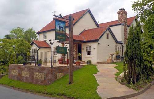 www.greyhoundhever.co.uk