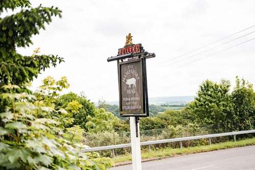www.thehampshirehog.co.uk