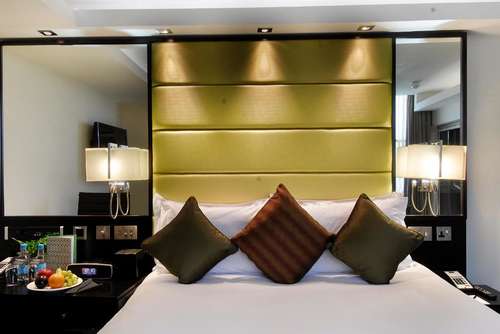 www.themontcalm.com