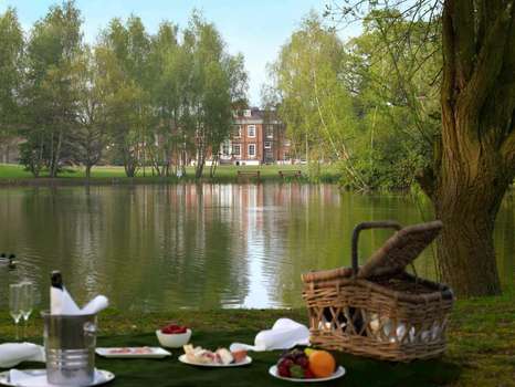 www.stokeplace.co.uk