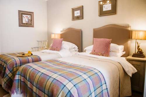 www.goldenlionsettle.co.uk
