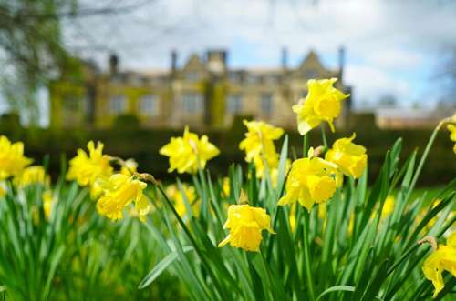 www.gisborough-hall.com