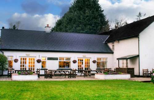 www.browntroutinn.com