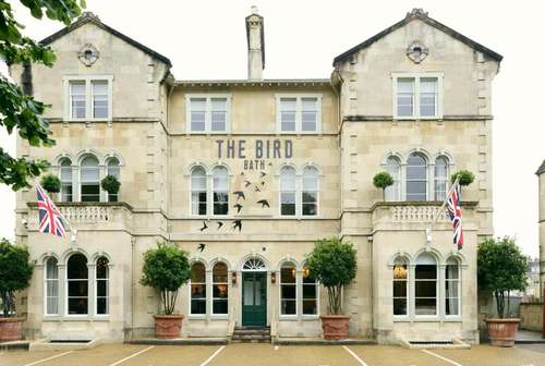www.thebirdbath.co.uk