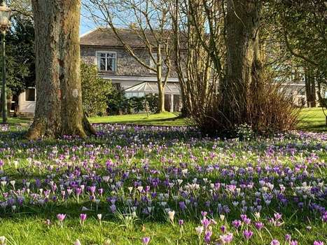 www.woodlandshall.wales